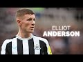 Elliot anderson  the future of newcastle united