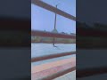 train travel video#viral #shorts #trending #youtubeshorts #youtube