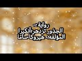 رواية الجذور تزدهر آنكيرا الفصل الأول 