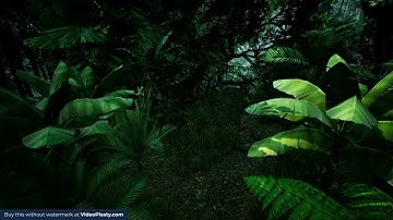 Flying Through The Green Jungle 3D Stock Video