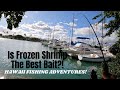 Pier fishing with frozen shrimp  hawaii fishing adventures