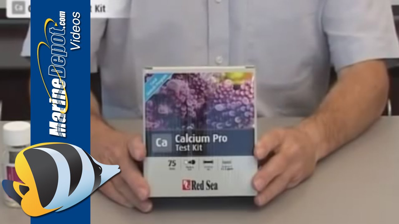 red sea s calcium