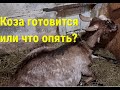 Как это понимать, она что симулянтка что ли?  Куда ещё бы деть этот снег?