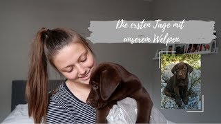 Die ersten Tage mit unserem Welpen, Lebensmittel Haul// Vlog 4Clara