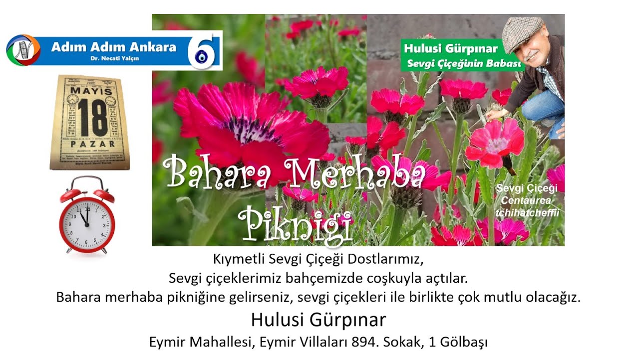 Gölbaşı'nda endemik tür olan 