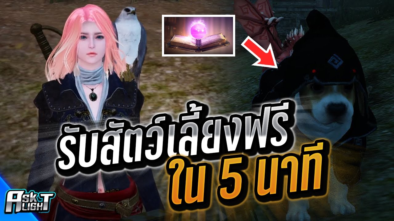 black desert สัตว์เลี้ยง  New Update  รับสัตว์เลี้ยงฟรีใน 5 นาที ของดีที่มือใหม่ควรรู้ | สัตว์เลี้ยงสำหรับมือใหม่ | #Black Desert Online