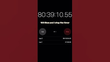 100 Likes and I Stop The Timer #niche #memes #funny