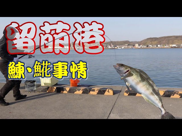 留萌港ニシンホッケ事情 - YouTube 留萌港ニシンホッケ事情 - YouTube