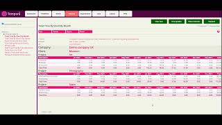 Tempora Timesheets: Running reports