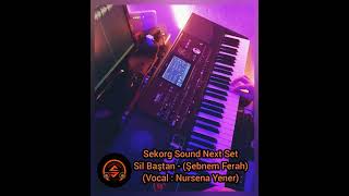 Sekorg Sound Next Set - Şebnem Ferah - Sil Baştan (Vocal : Nursena Yener) cover Resimi