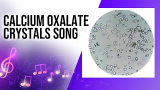 Calcium oxalate crystals   Song 🎼  | Fun Way To Learn  😍