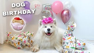 My Dog Does Her Favorite Things On Her Birthday ! by Mayapolarbear 316,850 views 2 years ago 8 minutes, 11 seconds