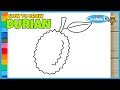 DURIAN - How to Draw and Color for Kids - CoconanaTV