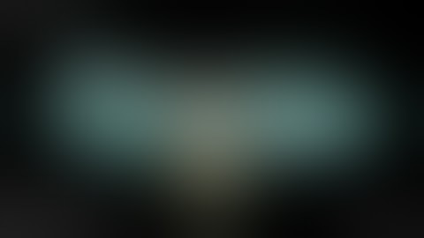 Shadowrun Returns: Dead Man