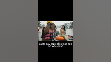 Capy dũng cảm vs Chị cá - Ngoại gặp nạn #capybara #capybarayeuba #giaitri