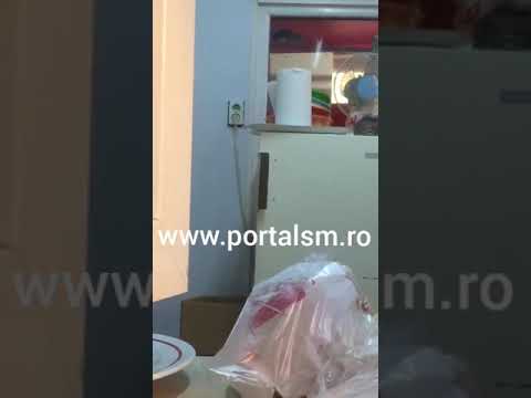 Șobolani într-un fast food din Satu Mare