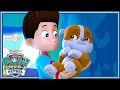 ねながらあるく | パウ・パトロール公式