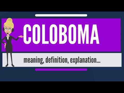 What is COLOBOMA What does COLOBOMA mean COLOBOMA meaning, definition & explanation 1