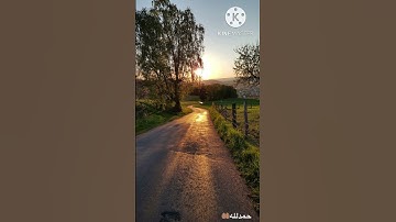 تلاوه هادئه ( القارئ اسلام صبحي ) القران الكريم …🤲🏽🌻