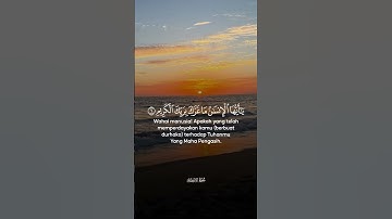 قرآن كريم بصوت جميل #المصحف #peaceful #سكينة #الرحمن #قران_كريم #راحة_نفسية