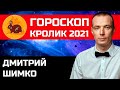 Гороскоп Кот/Кролик -2021. Астротиполог, Нумеролог - Дмитрий Шимко