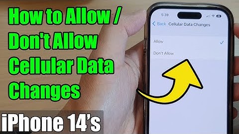 iPhone 14/14 Pro Max: How to Allow/Don
