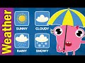 Weather Conditions Quiz