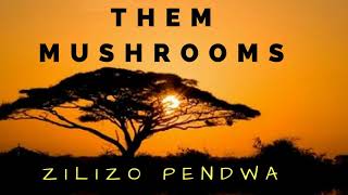 Embe Dodo   Zilizopendwa  Them Mushrooms