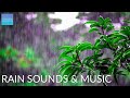 Quiet Classroom Music For Children Rain Sounds Music Relaxing Music For Classroom Work mp3
