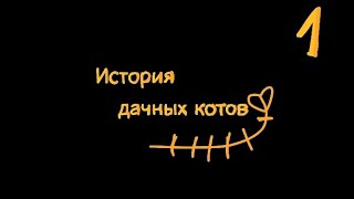 1 СЕРИЯ ДАЧНЫХ КОТОВ ОФИЦИАЛЬНАЯ!