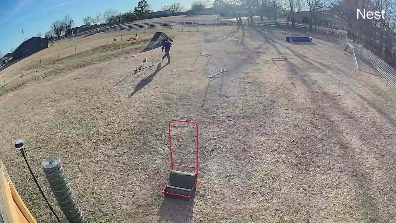 Daisy Elite Regular Claw Round 1 Feb 23 2026