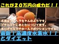 【必見】２０万円する高濃度水素水の効能が凄すぎる！！痩せること必至の水ダイエットとは？高濃度水素水によるプチトマトの驚きの変化実験編！