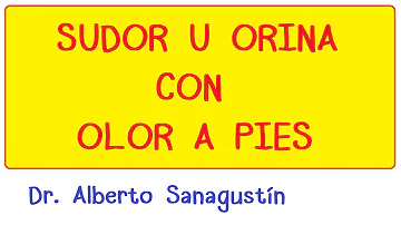 ¿Por qué mi sudor huele a orina por la noche?