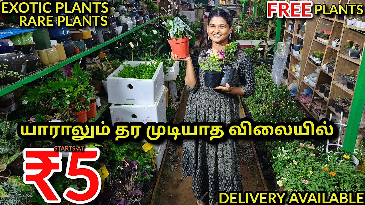 ரு5 முதல்..ஒரு செடியாக இருந்தாலும் டெலிவரி / Best and Cheapest Nursery /in door &out door planets