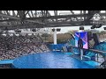 The Orca Show At SeaWorld Orlando