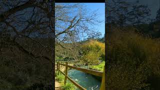 Nascente do Lis - Fontes - Leiria #shorts #shortvideo #mtb #wednesday #btt #vtt #fypシ #fyp