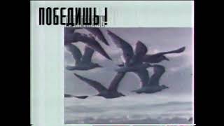 Голосуй и победишь (1996) Птицы