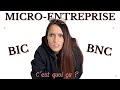 Bic et bnc en microentreprise  cest quoi  comment a marche 