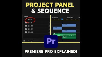 3  Project Panel and Sequence of Premiere Pro