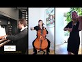 J.S. Bach: "Erbarme Dich" for violin, cello and organ