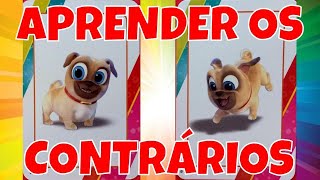 Aprender os Contrários - Ensinar os Opostos para Crianças - Aprenda com a Tia Ste screenshot 5