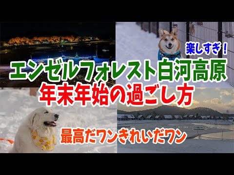 エンゼルフォレストでの年越しの風景がものすごくきれいで、翌日いっぱい飲んで楽しかったパパ