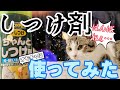 【猫用しつけ剤】しつけ剤をおもちゃにスプレーしてみた