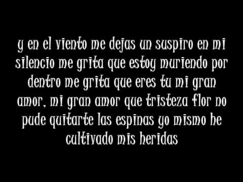 No pude quitarte las espinas - La Desición Vallenata con letra