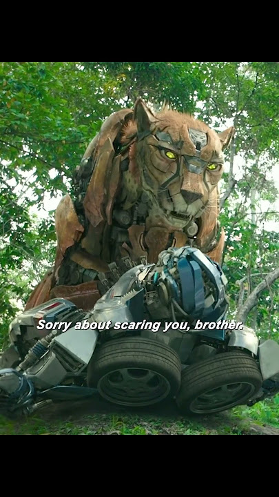 It’s an honor 🙏🏻🙏🏻 #transformers #optimus