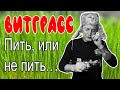 Витграсс, сок ростков пшеницы, здоровье