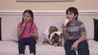 Clean Cover Commercial