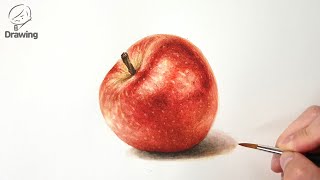 [수채화 기초] 사과 그림 그리기 / Watercolor Painting of Apple