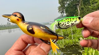DUCK Bait vs. Frog Lure Fishing CHALLENGE!!! (BIGGEST FISH WINS)