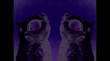 Preview 2 numa cat 3 blind major in g major 4